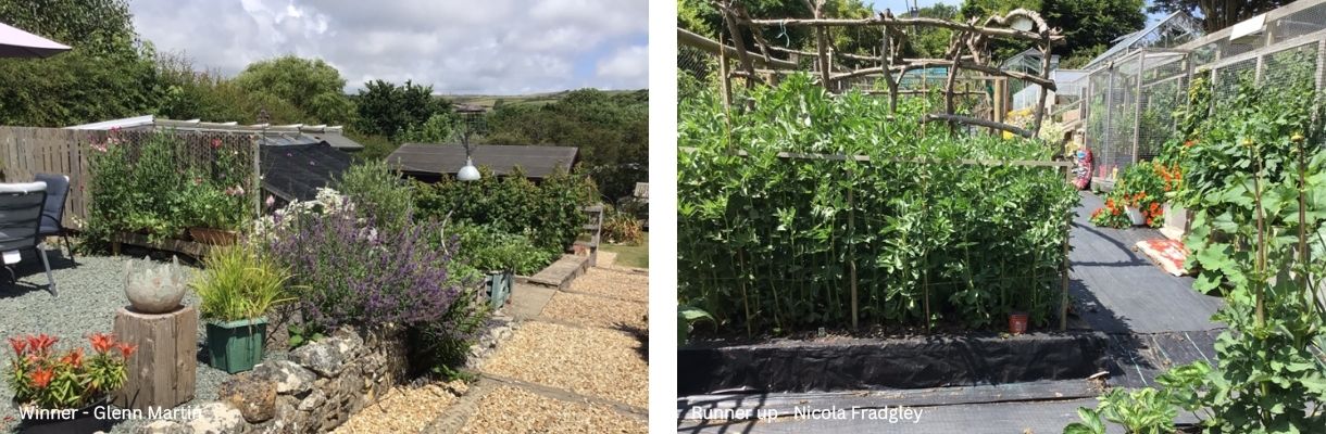 Edible garden at Whitwell and Niton on the Isle of Wight